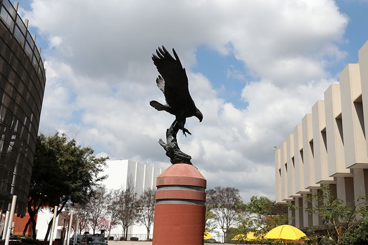 Golden Eagle statue in center of Cal State LA campus